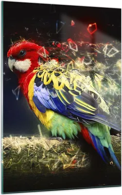 Produktbild von Bilder auf glas - Einteilig - Papagei Vogel Feder - 50x70cm - Glasbilder - Wandbilder - Bilder - zum Aufhängen bereit - Wanddekoration aus Glas - Glas Bilder - Wandbild auf Glas - GPA50x70-3682