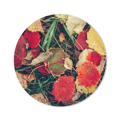 Produktbild von MuchoWow® Mauspad Mousepad Blätter - November - Herbst - Natur 20x20 cm - Mousepads - Maus Mat - Pad - Mausunterlage - Schreibtischmatte