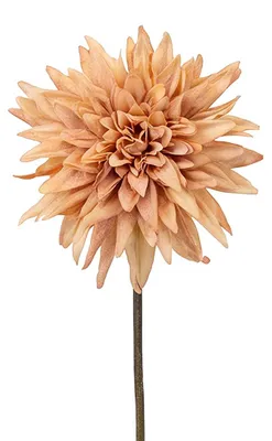 Produktbild von Clayre & Eef Kunstblume Braun Kunststoff