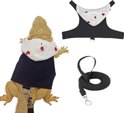 Produktbild von Hagedis Hoodie mit Borst Harnas für Reptil Hausdier | Outdoor Kleidung für Bebaarde Draak | Geschikt für Kameleon und Eekhoorn (Wit)