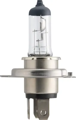 Obrázek produktu pro Philips 13342MDB1 H4 MasterDuty 24 V