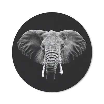 Produktbild von MuchoWow® Mauspad Mousepad Elefant - Tiere - Schwarz - Weiß 20x20 cm - Mousepads - Maus Mat - Pad - Mausunterlage - Schreibtischmatte