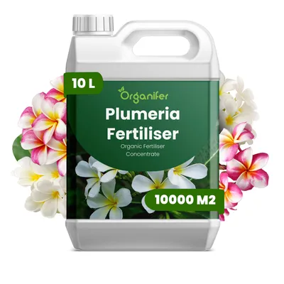 Obrázok produktu pre Frangipani, tekuté hnojivo, 10 litrov – vzťah NPK 3-4-3 – vhodné pre rastliny Plumeria – podporuje bohaté kvitnutie a silný rast – organické hnojivo