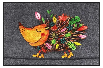 Egel-Deurmat 50x75 cm, wasbaar, antislip, bunt