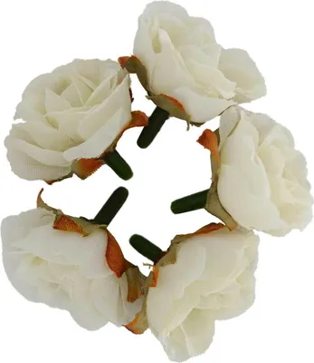 Produktbild von 5 x Deko Rose / Rosenblüte / Rosenkopf ca. 2,5 cm, Farbauswahl, Farbe:creme