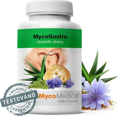 Immagine prodotto di MycoMedica MycoGastro miscela di bevande sfuse 90g