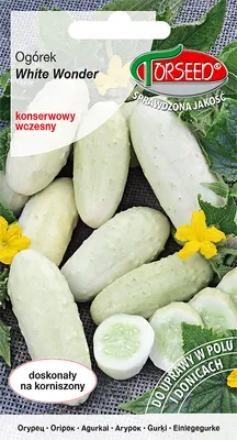 Produktbild von Samen der White Wonder konservierten gemahlenen Gurke 1g - Torseed