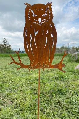 Produktbild von Eule auf Ast sitzend 50x43cm + Stab Edelrost Gartenstecker Rost Metall Rostfigur Uhu