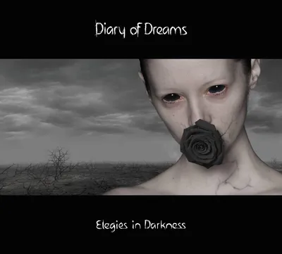 Produktbild von Elegies in Darkness