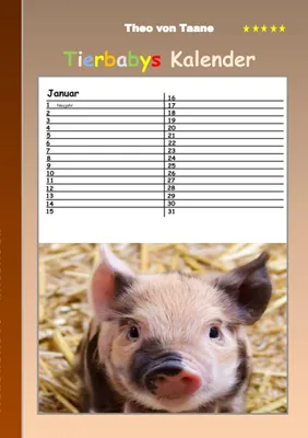 Produktbild von Tierbabys - Kalender, Deutsch, Taschenbuch, 24 Seiten