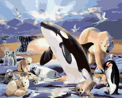 Produktbild von Zuty - Malen nach Zahlen - TIERE IM POLARREICH (HOWARD ROBINSON), 40x50 cm, mit Keilrahmen (bereits gespannt)