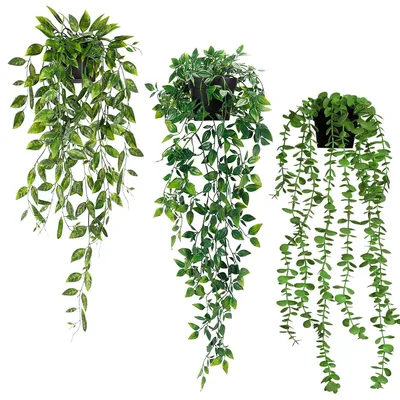 Image de 3 plantes suspendues en pot, plantes suspendues artificielles, feuilles d'eucalyptus artificielles en pot, plantes artificielles réalistes, plantes en pot suspendues pour la décoration de la maison et du jardin