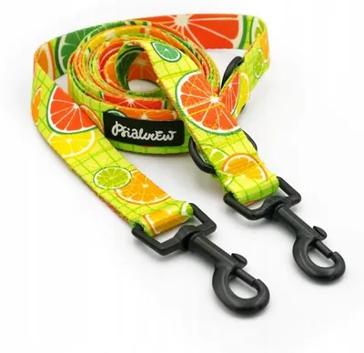 Produktbild von Psiakrew Lemoniada Verstellbare Hundeleine 220 cm