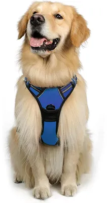 Produktbild von Hundegeschirr Anti-Zug mit Kontrolle, verstellbar, atmungsaktiv, mit Reflektor, Blau, Größe L