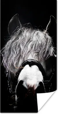 Produktbild von MuchoWow® Poster Pferd - Porträt - Schwarz - Weiß 20x40 cm - Plakat - Foto
