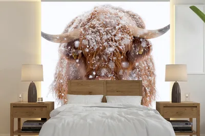 Produktbild von MuchoWow® Fototapete für Wohnzimmer oder Schlafzimmer Wandtapete Vinyl Motivtapete Schottischer Highlander - Hörner - Schnee - 240x240 cm - Schlafzimmer-Tapete