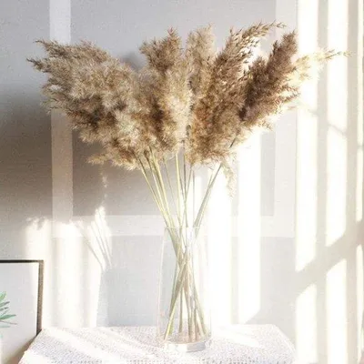 Produktbild von Pampasgras Bouquet 30/50 Stück - Natürliche Dekoration für das Interieur