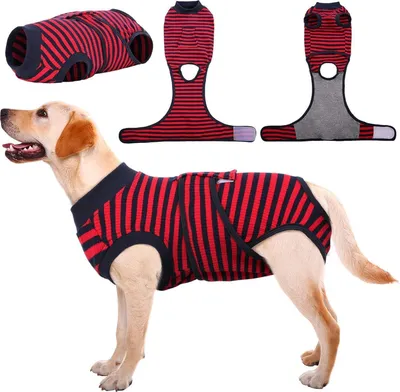 Produktbild von Hundebody nach Op und Kastration Rüde Hündin Atmungsaktiv Rot L