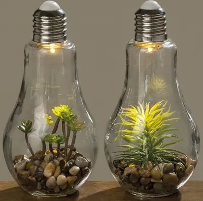 Produktbild von LED Tischleuchte mit Pflanze Ø 11 cm H 23 cm Glas 2-er Set