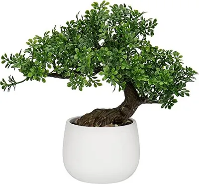 Obrázek produktu pro Oairse 25 cm umělá rostlina bonsai strom v keramickém květináči umělé rostliny Estetická japonská dekorace pro obývací pokoj ložnice koupelna parapet