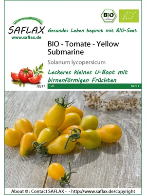 Productafbeelding van Saflax 19211 Tuin op Reis - Mammutboom (Mammutboomsamen)