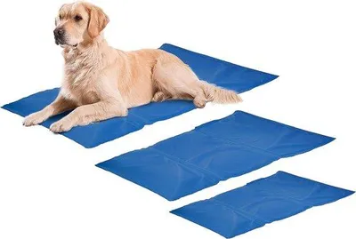 Produktbild von Famanu Kühlmatte Hund - 100 cm x 60 cm (Größe XL)