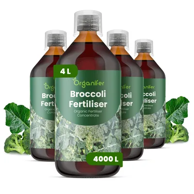 Produktbild von Flüssigdünger für Brokkoli 4x1L – 2-1-8 NPK – Flüssigdünger Für Gemüse – Für Kräftige Köpfe & Blätter – Fördert Wurzeln & Vitalität – Organifer