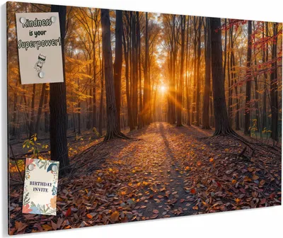 Produktbild von Magnettafel 60x40cm magnetisch & beschreibbar Metall-Board - Sonnenuntergang Wald