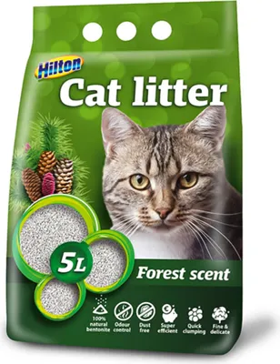 Produktbild von Hilton Forest Cat Litter - Bentonite Forest Katzenstreu 5L frischer Waldduft stark klumpend