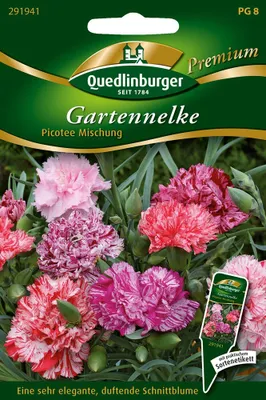 Artikelbild 1 von 'Gartennelken Picotee Mischung' aus der Kategorie Nelkensamen