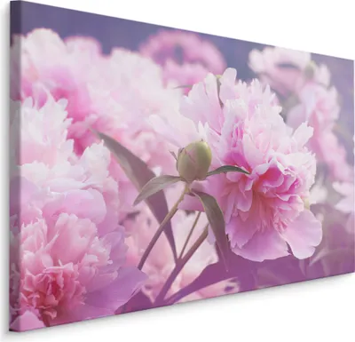 Produktbild von Fabelhafte Canvas LEINWAND BILDER 120x80 cm XXL Kunstdruck Pfingstrosen Blumen Natur