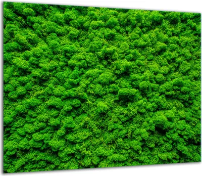 Produktbild von Herdabdeckplatten Glaskeramikkochfeld-Abdeckung Spritzschutz Glas 60x52cm Grün