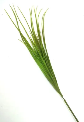 Produktbild von 1 Gräserzweig künstlich grün beflockt ca. 70 cm