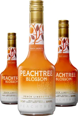 Produktbild von 3 x De Kuyper Peachtree Blossom