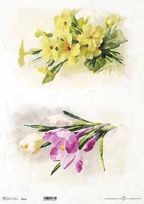 Immagine prodotto di ITD carta di riso decoupage tecnica artigianale tovagliolo di carta, A3 R0813L Crochi, fiori gialli