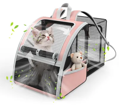 Katzenrucksack mit Mesh, Stahlrahmen, erweiterbar, bis 22 lbs