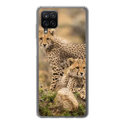 Produktbild von MuchoWow® Handyhülle Schutzhülle Hülle für Samsung Galaxy A12 Leopard - Jungtier - Natur Silikon Softcase Handy Hülle - Bild