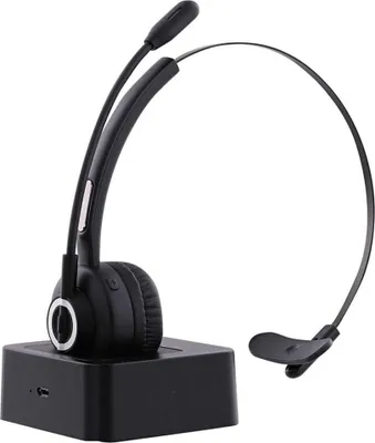 Productafbeelding van Laptophoes T'NB