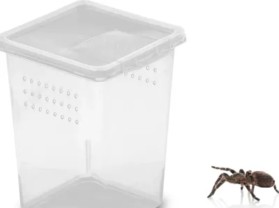 Obrázek produktu pro Vertikální kontejner s ventilací a klapkou 8x8x11cm Mini typ "Braplast"