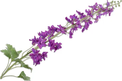 Produktbild von Silk-ka Kunstblume Delphiniumzweig Lila-Flieder 127 cm