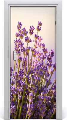 Produktbild von Tulup Türaufkleber 85x205 cm Dekorative Aufkleber Selbstklebend Wasserdichte Tapete Abnehmbar Schlafzimmer Wohnzimmer Wohnkultur - Lavendel