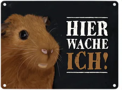Produktbild von Metallschild mit Meerschweinchen Motiv und Spruch: Hier wache ich! Metallschild
