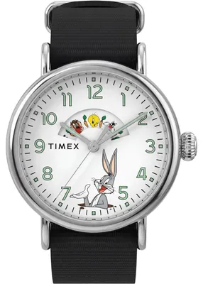 Zdjęcie produktu dla Zegarek Timex TW2Y99100 czarny