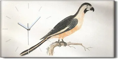 Produktbild von Wandkunst Leinwand Bild Uhr Geräuschlos 60x30 Zeichnung Tier Vogel Zweig Kunst - weiße Hände