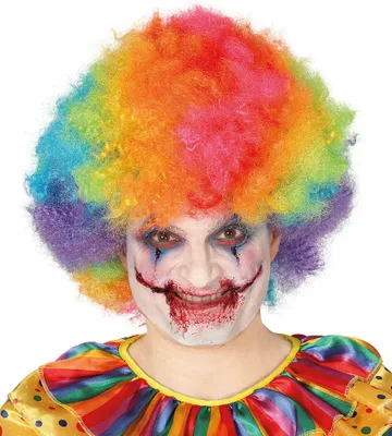 Produktbild von Clown Bunte Perücke Farbenfrohe Haarpracht Kostümaccessoire Halloween Spaß Events Fasching, Farbe: Mehrfarbig