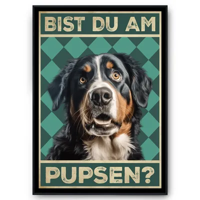 Produktbild von Berner Sennenhund - Bist du am Pupsen? Hunde Poster Badezimmer Gästebad Wandbild Klo Toilette Dekoration Lustiges Gäste-WC Bild DIN A4 – DIN A4 mit Rahmen | Schwarz