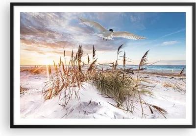 Produktbild von Gerahmtes Poster - Schwarzer Rahmen - Möwe Meer Küste - 91,5x61 cm - Wand Bild - Wanddeko - Wandbilder - Kunstposter - Wandposter - Bilderrahmen - Bilder - Kunstdruck Wanddekoration - P2BAA91x61-4902