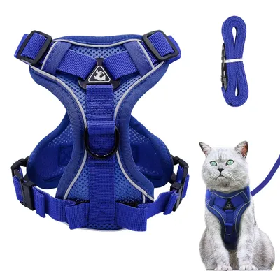 Immagine prodotto di Pettorina per gatto - Regolabile con guinzaglio - Taglia S - Blu scuro