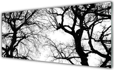 Produktbild von Acrylglasbilder 125x50 Wandbild Druck Bäume Natur