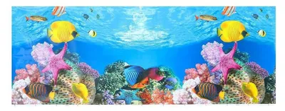 Immagine prodotto di Adesivi 3D per acquari